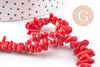 Perles en bambou de mer imitation corail rouge, x1 fil de 38cm (G0850)
