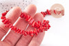 Perles en bambou de mer imitation corail rouge, x1 fil de 38cm (G0850)