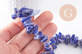 Perles en coquillage bleu, fournitures créatives,perles coquillage,coquillage bleu, coquillage naturel,fil de 40cm-(G1079)