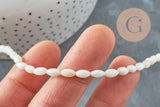 Perles grain de riz nacre naturelle blanche 8mm, x1 fil de 38cm (G0770)