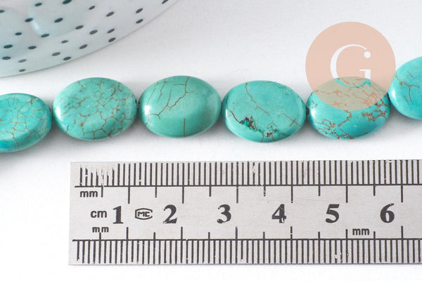 Perles howlite turquoise naturelle,perles pierre, howlite naturelle, perle turquoise,12-14-16-18mm, X5 (G8192)