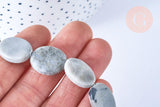 Perles jaspe gris ovale 19x14mm, perles en jaspe gris naturelle, x5 (G8381)