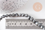Perles jaspe sésame, pierre naturelle, perles jade, jaspe sésame naturel, fil de 60,6mm, x1 (G2824)