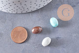Perles ovales porcelaine multicolore 12mm, x10 (G10323)