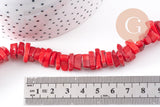 Perles rondelles corail rouge naturel 8-11mm, x1 fil de 40cm (G3536)