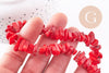 Perles rondelles corail rouge naturel 8-11mm, x1 le fil de 40cm (G3536)