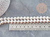 Perles rondes coquillage naturel blanche nacrées 8mm, x1 fil de 40cm (G9034)
