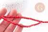 Perles tube corail en bambou de mer (imitation corail), corail teinté, 5x8mm,le fil de 40cm x1 (G4137)