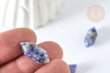 Pierre sodalite naturelle double pointes 19~22mm, séance lithothérapie, x1 G7533