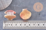 Pince pour cheveux Acétate Orange or 26mm, x1 (G10392)