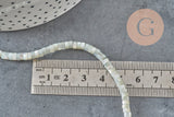 EP - Nácar natural heishi gris pastel, tubo de concha coloreado, cuenta de concha, creación de joyas, 2x4 mm, tira de 185 cuentas G4769