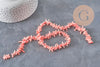 EP-pink coral beads, coral beads, jewelry making, natural coral, shell bead, pink shell, 38cm thread, G3089