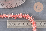 EP-pink coral beads, coral beads, jewelry making, natural coral, shell bead, pink shell, 38cm thread, G3089
