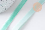 Ruban velours 10mm, x1 mètre (G10331)