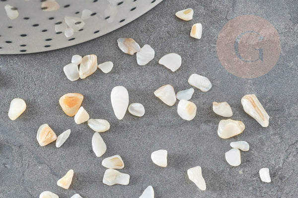 Sable chips coquillage nacre naturelle 4-14mm non percé, x20gr (G9308)