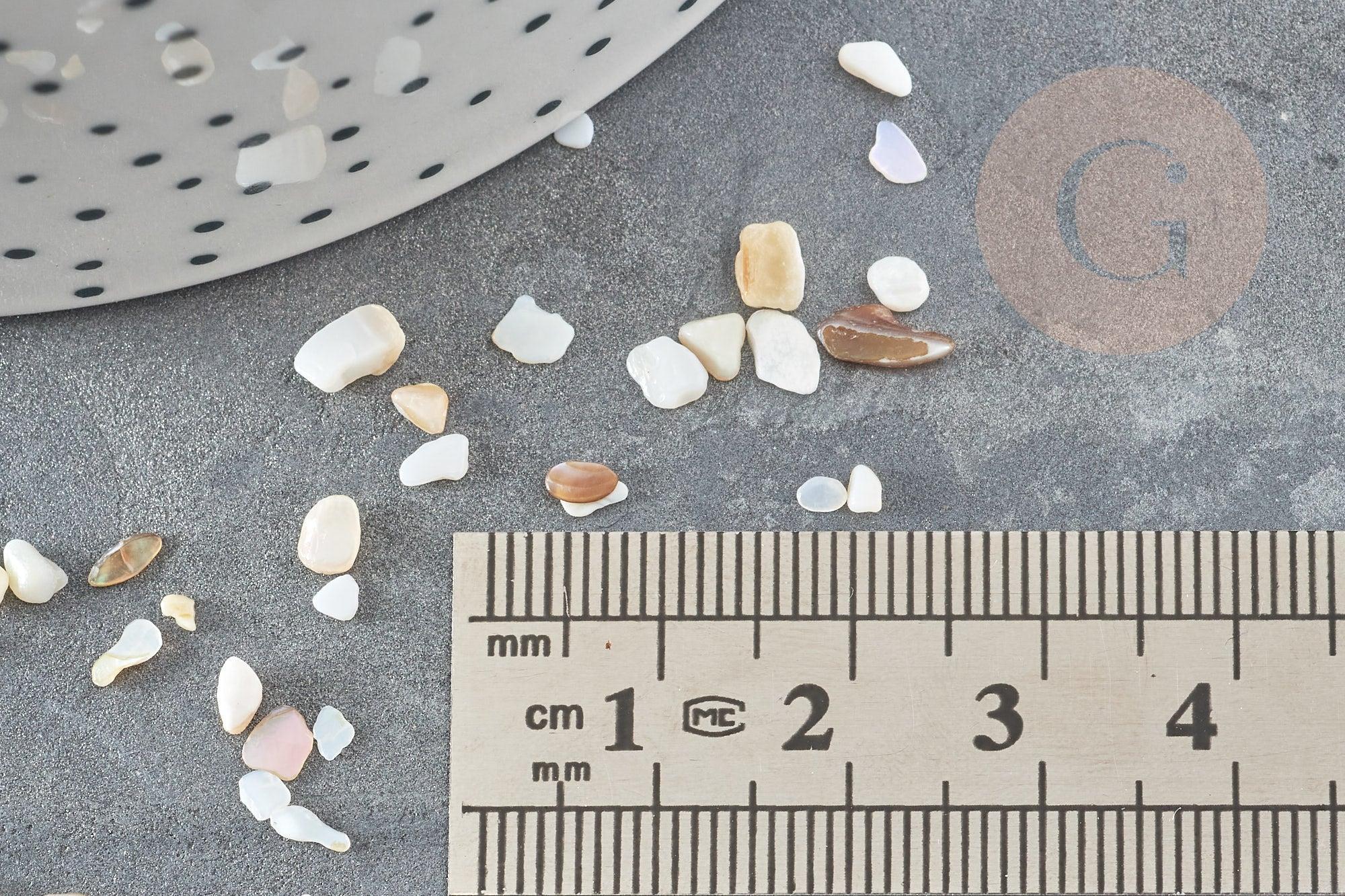 Sable chips coquillage nacre naturelle beige blanc 2-5mm non percé, x20gr (G9309)