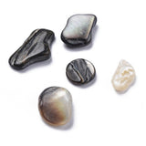 Sable chips coquillage nacre noire naturelle 7.5~18.5mm non percé, x20gr (G3499)
