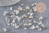 Sable chips pierre lodolite naturelle 7-16mm non percé, x20gr (G3503)