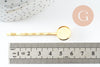 Supports de barrette fer doré pour cabochon 12mm/55mm,x5 (G3495)