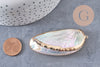 coquillage naturel blanc doré 53-70mm,pendentif argent création bijoux, x1 (G2086)