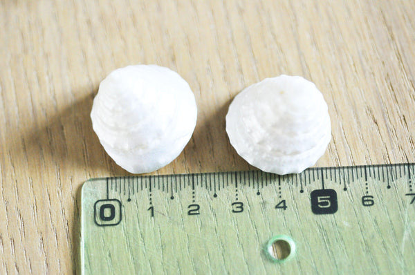 coquillage naturel blanc nacré escargot de mer,coquillage nacré Tectus Conus, bijou coquillage naturel,4-5cm, x1 G4165