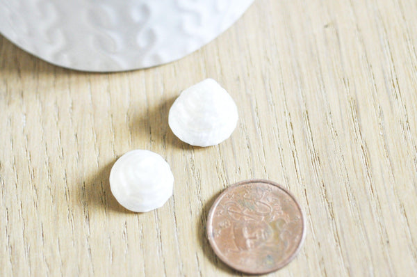 coquillage naturel blanc nacré escargot de mer,coquillage nacré Tectus Conus, bijou coquillage naturel,4-5cm, x1 G4165