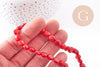 perle ovale corail rouge, perles corail, corail rouge,corail naturel, fil 40cm,6-12mm, x1 (G1827)