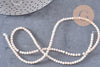 perles ronde coquillage rose naturel ,perle ronde rose clair coquillage, 2.5-3mm, le fil de 140 perles, x1 (G3843)