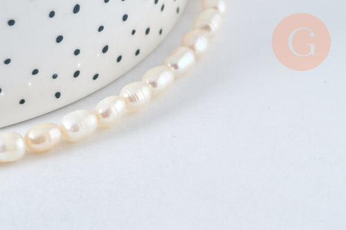 Perles en coquillage, nacre et bambou de mer pour bijoux DIY naturels