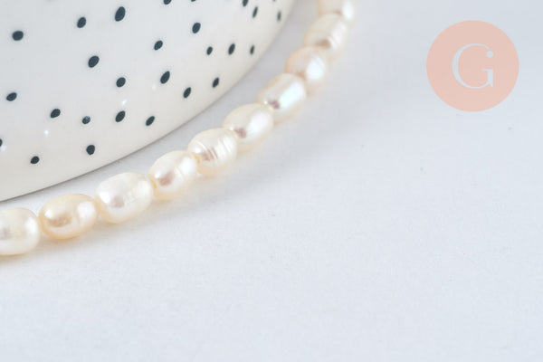 Perles en coquillage, nacre et bambou de mer pour bijoux DIY naturels