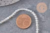 Perles Agate naturelle grise facettées 3mm, x1 fil de 38cm (G11095)