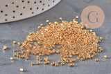 Perles Miyuki Delica 11/0 DB0034 - 24kt Gold Light Plated, x5gr(G11296)