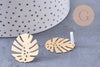 Boucles puces fer doré feuille monstera boucle 28mm, la paire (G1310)