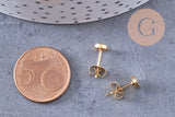 Boucles rondes puces acier 304 inoxydable doré 5mm, la paire (G0101)