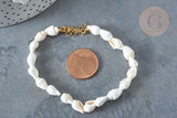 Bracelet Coquillages naturels blancs laiton doré 19.5cm x1 (G7803)