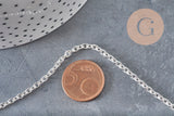 304 Stainless steel rhodium plated curb chain bracelet 4mm/18.5cm, x1 (G11204)