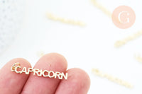 Breloque Capricorne laiton doré 18k cristal,sans nickel,création bijoux astrologique, pendentif horoscope,31mm, x1 (G6054)
