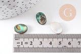 Cabochon ovale nacre noire naturelle ormeau 14mm, x1 (G5905)