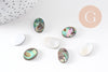 Cabochon ovale nacre noire naturelle ormeau 14mm, x1 (G5905)