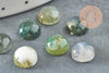 Cabochon rond agate mousse verte 8mm, x1 (G2422)