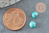 Cabochon rond howlite naturelle turquoise 6mm, x1 (G1010)