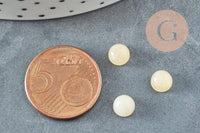 Cabochon rond jade naturel jaune 6mm, x1 (G1391)