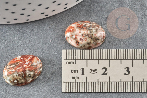 Cabochon rond jaspe léopard naturel 18x13mm, x1 (G1134)