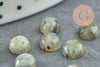 Cabochon rond labradorite naturelle 6mm, x1 (G8650)