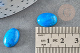 Cabochon rond turquoise bleue naturelle 14mm, x1 (G0349)