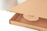 Cartons extra plat A4 350x250x20mm, un emballage pour vos expéditions, x10 (G7058)