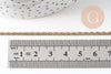 Chaine avec fermoir torsadée acier inoxydable doré 14k 2.5mm/50cm x1 (G1474)