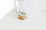 Cloche tube verre et bouchon en liège 30x60mm-G0207