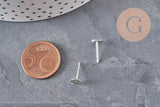 Clous-puces oreille acier inoxydable 304 argenté 6mm, x10 (G11308)