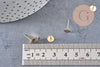 Clous-puces oreille avec plateau acier inoxydable 304 doré 6mm, x10 (G2568)